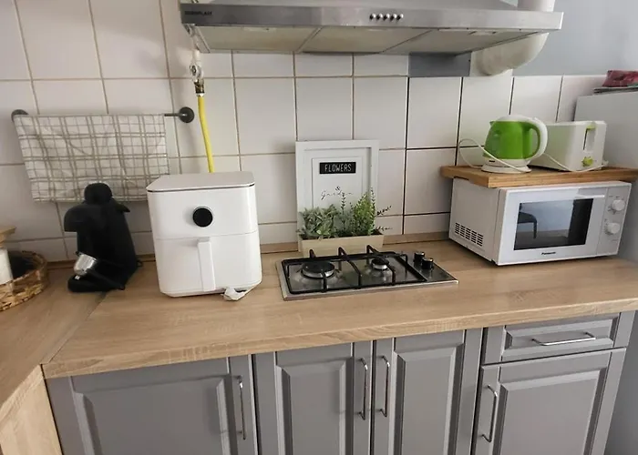 Lugas Apartman Miskolctapolca 2 Haloszoba Dezsa Es Jakuzzi Koezel A Barlangfuerdohoez